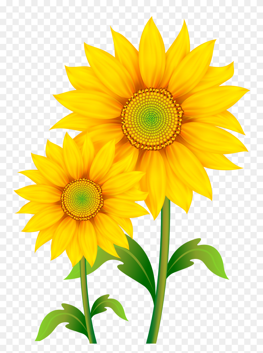 4504x6158 Flower Clipart, Suggestions For Flower Clipart, Download Flower - Sunflower Emoji PNG