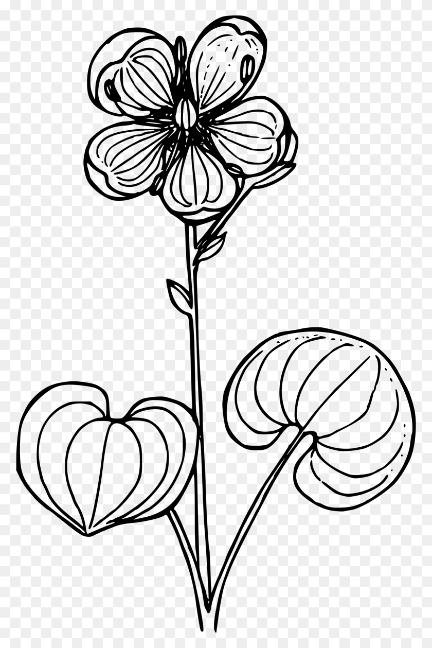 1561x2400 Flower Clipart Umatilla National Forest Logo Drawing Png - Flower Drawing PNG