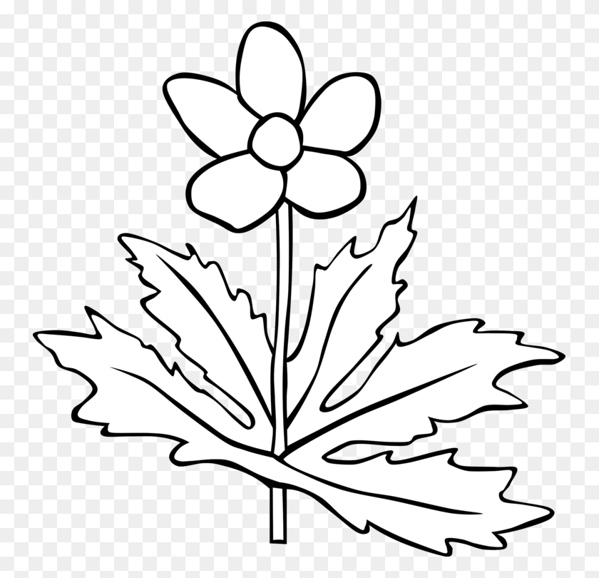 747x750 Flower Computer Icons Common Daisy Tulip Drawing - Tulips Clipart Black And White