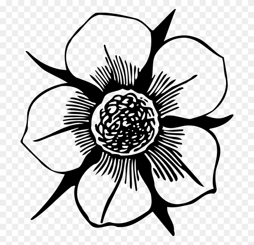 704x750 Flower Computer Icons Drawing Petal Download - Succulent Clipart Black And White