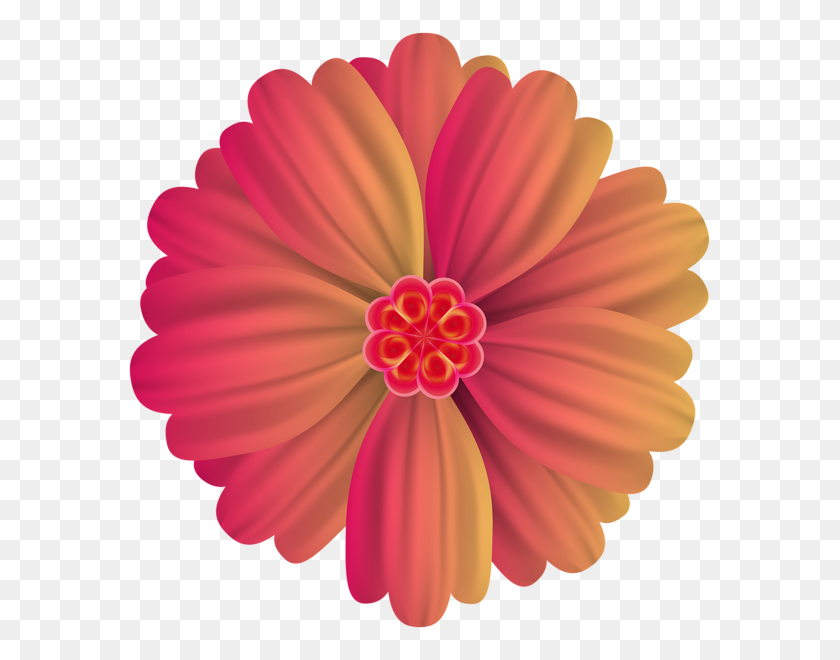 585x600 Flower Deco Png Clip - Zinnia Clipart