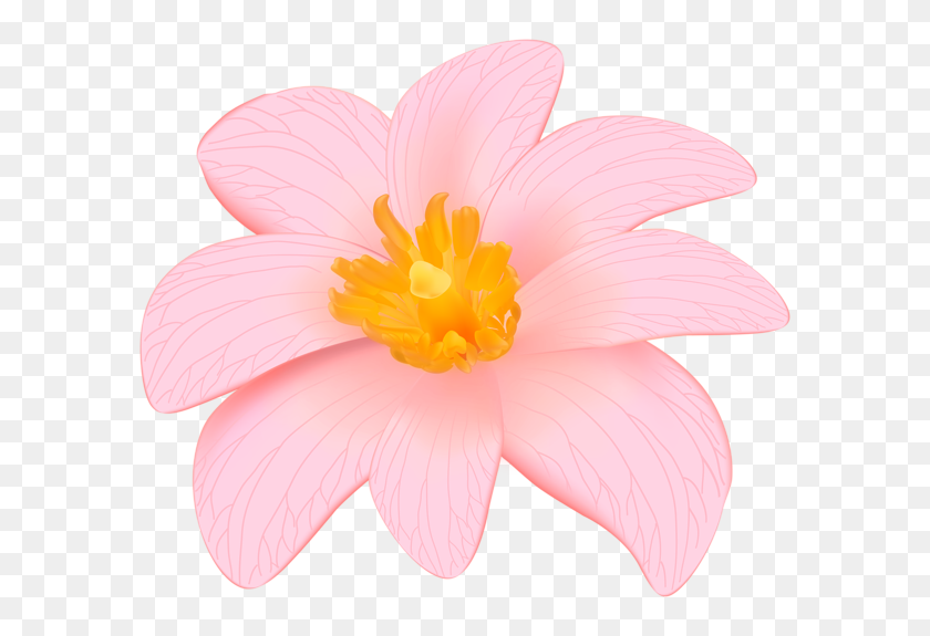 600x515 Flower Designes Flower Clipart - Pink Flowers PNG