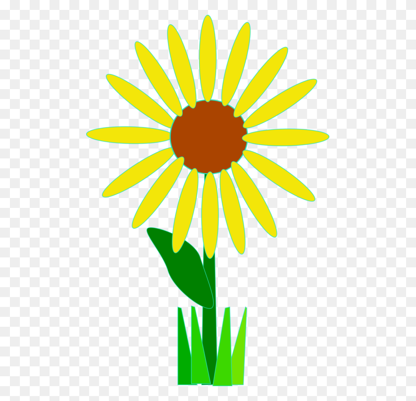 491x750 Flower Download Art Common Daisy - Yellow Daisy Clipart