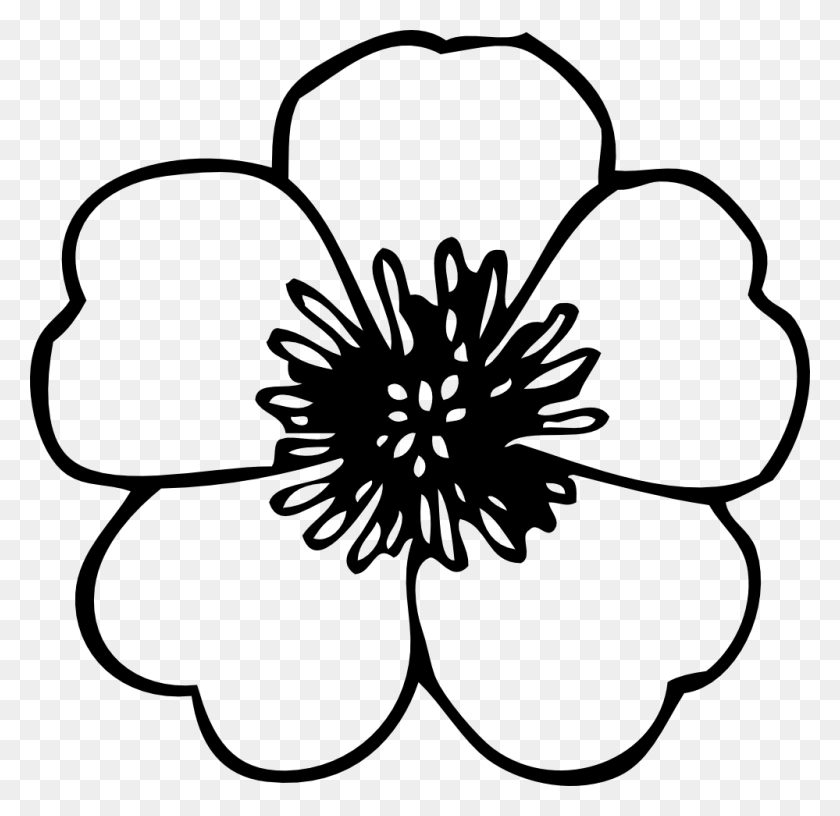 999x969 Flower Drawings - Flower Garden Clipart Black And White