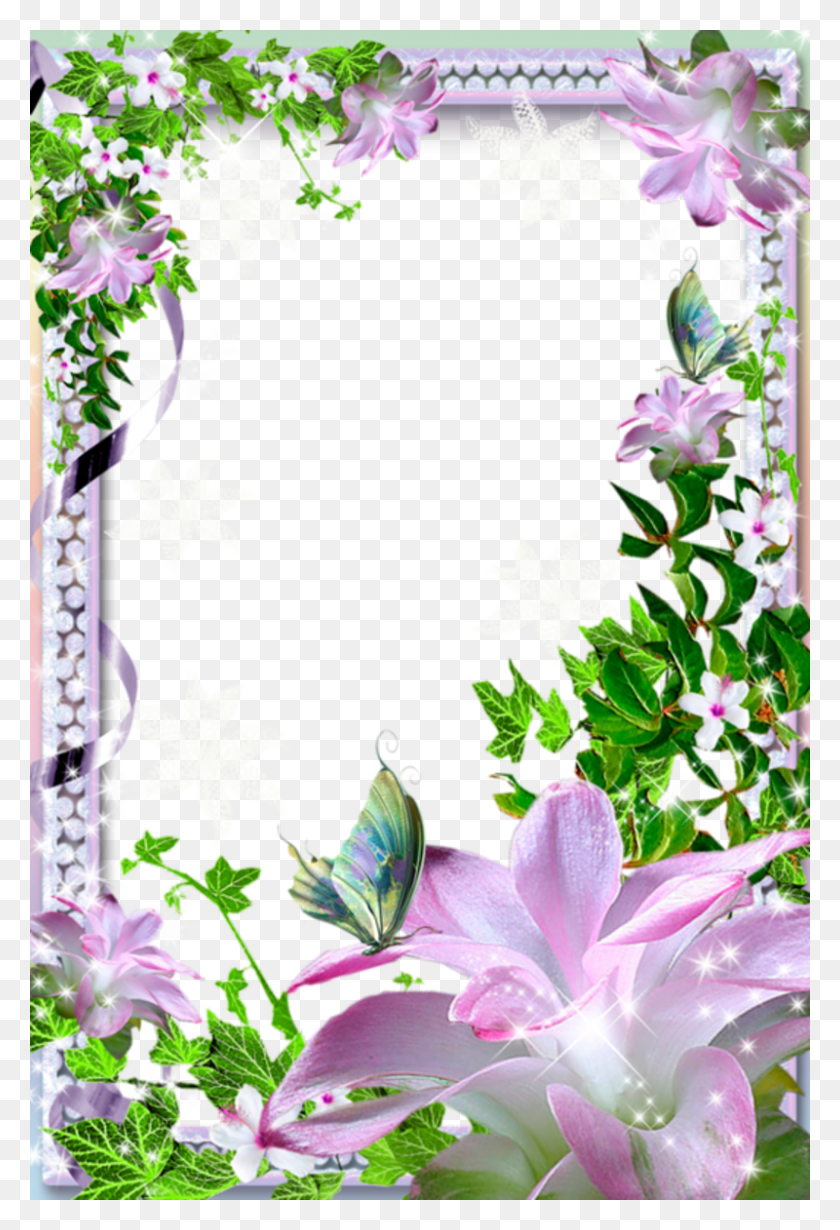 800x1200 Flower Frame Png - Frame PNG Transparent