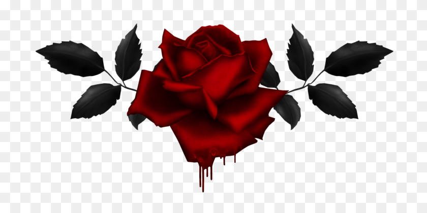 737x360 Flower Gothic Hd Rose - Gothic PNG