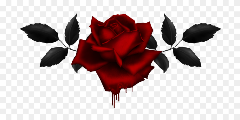 737x360 Flor Gótica De Alta Definición De Rosa - Gótico Png