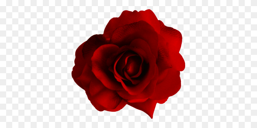 373x360 Цветок Hd Красная Роза - Роза Emoji Png