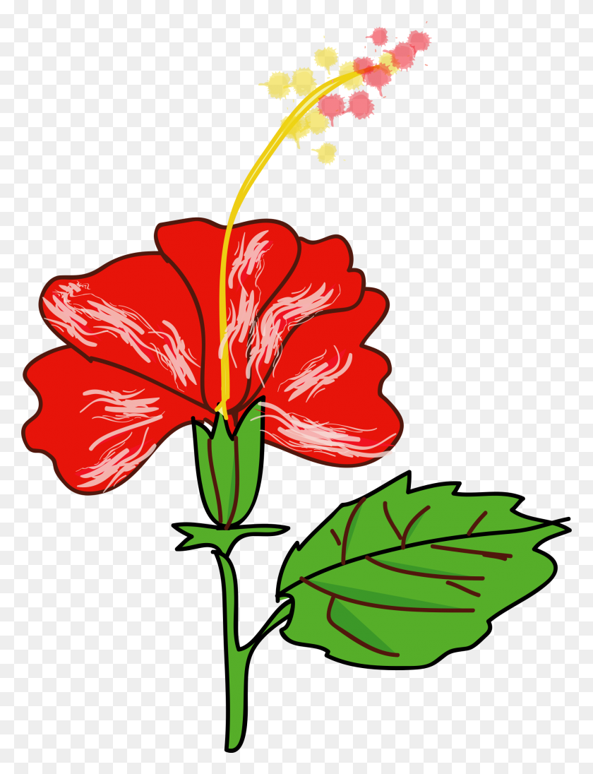 1806x2400 Flower Hibiscus Icons Png - Hibiscus PNG