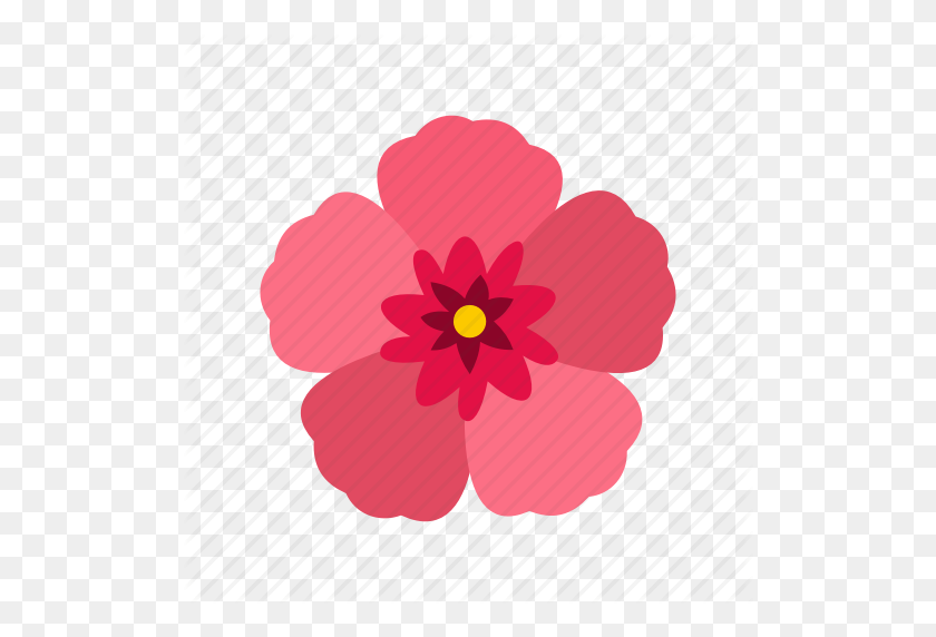 512x512 Flower, Hibiscus, Korea, National, Nature, South, Summer Icon - Hibiscus Flower PNG