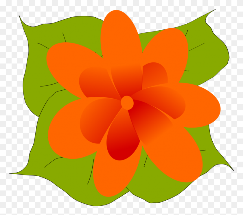 853x750 Цветочные Листовые Растения Апельсиновый Бутон - Бутон Клипарт