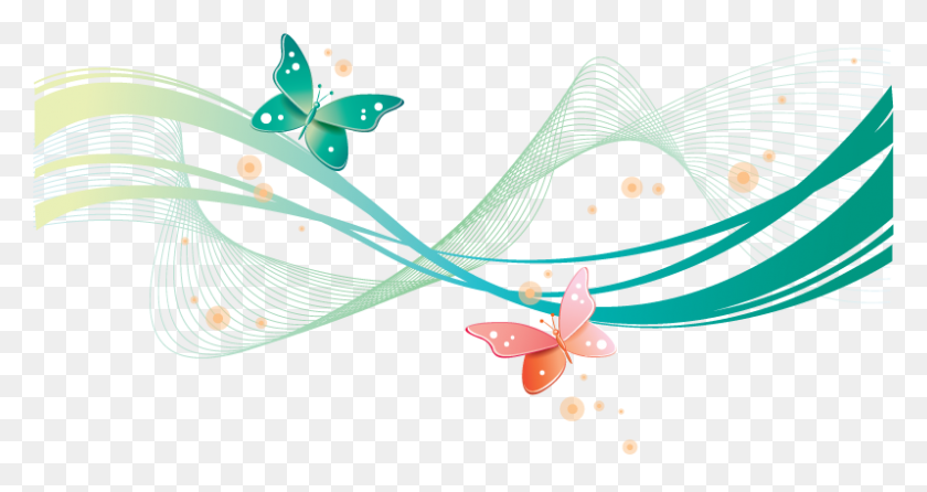 798x395 Flower Line Graphic Png Png Image - Flower Line PNG