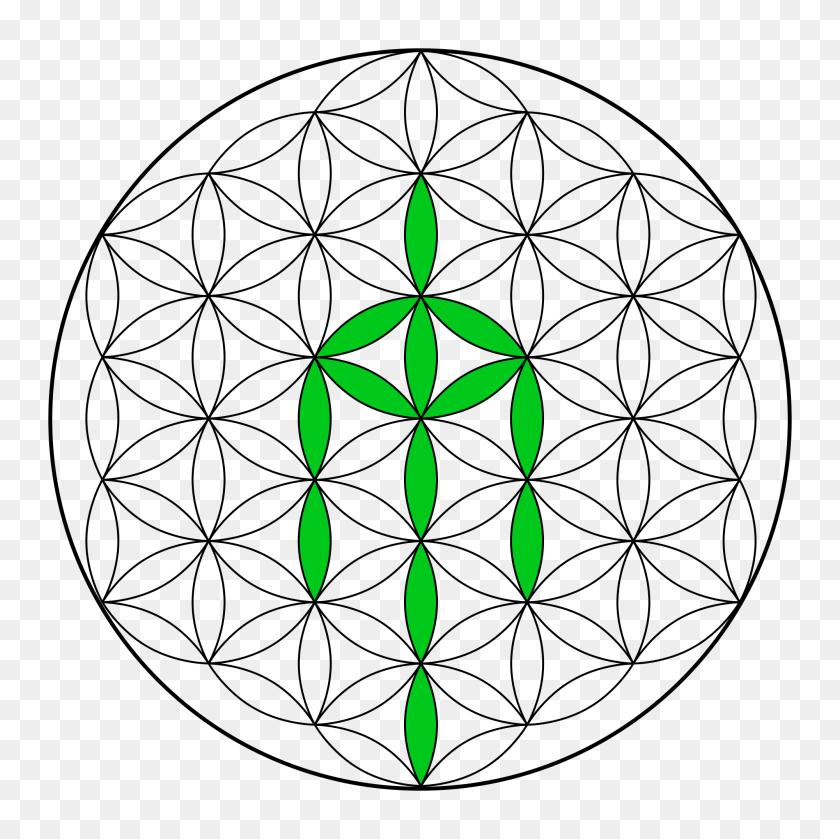 2000x2000 Flower Of Life - Flower Of Life PNG