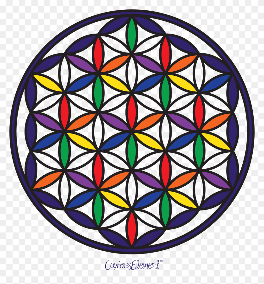1478x1600 Flower Of Life - Flower Of Life PNG