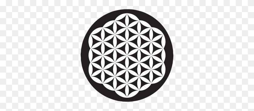 308x307 Flower Of Life Saracura - Flower Of Life PNG