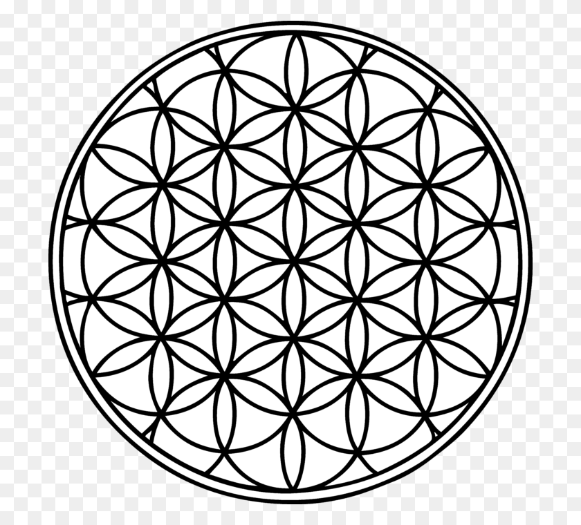 700x700 Flower Of Life Symbol Clip Art - Life Science Clipart