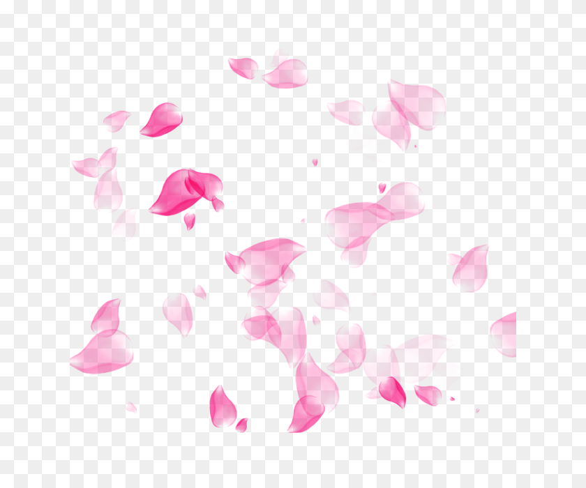 640x640 Flower Petal, Flower, Petal Png And For Free Download - Rose Petal PNG