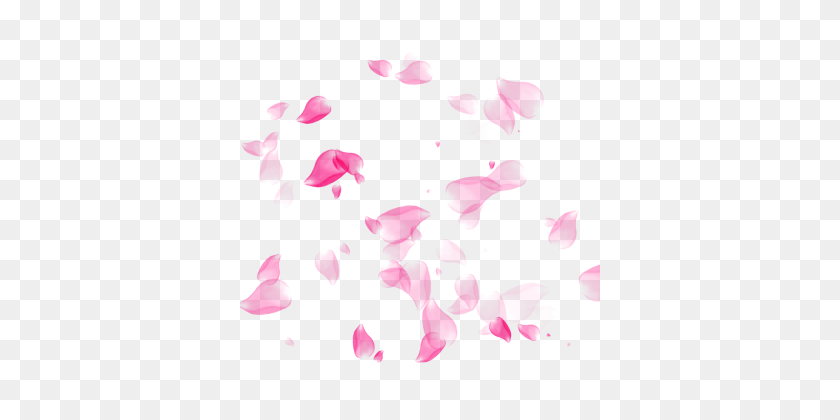 360x360 Flower Petal,flower, Petal, Pink, Girl, Shabby, Cute, Sakura - Spring Flowers PNG