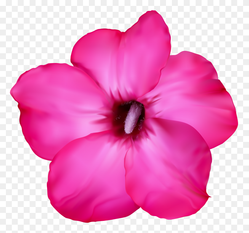 6000x5603 Flower Pink Clip Art Png - Pink Flowers PNG