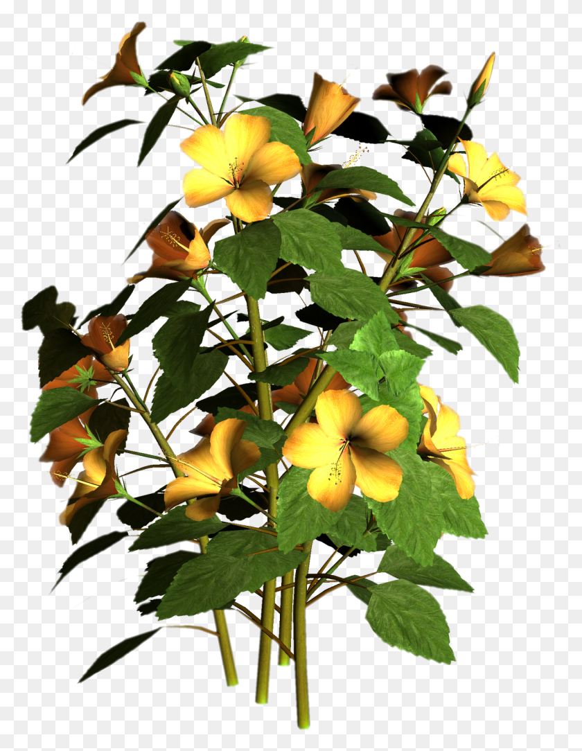1218x1600 Цветочные Растения Png - Тропические Растения Png
