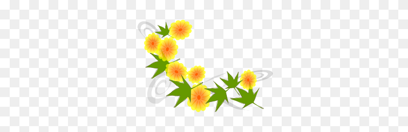 300x212 Цветок Png Клипарт - Полевые Цветы Png