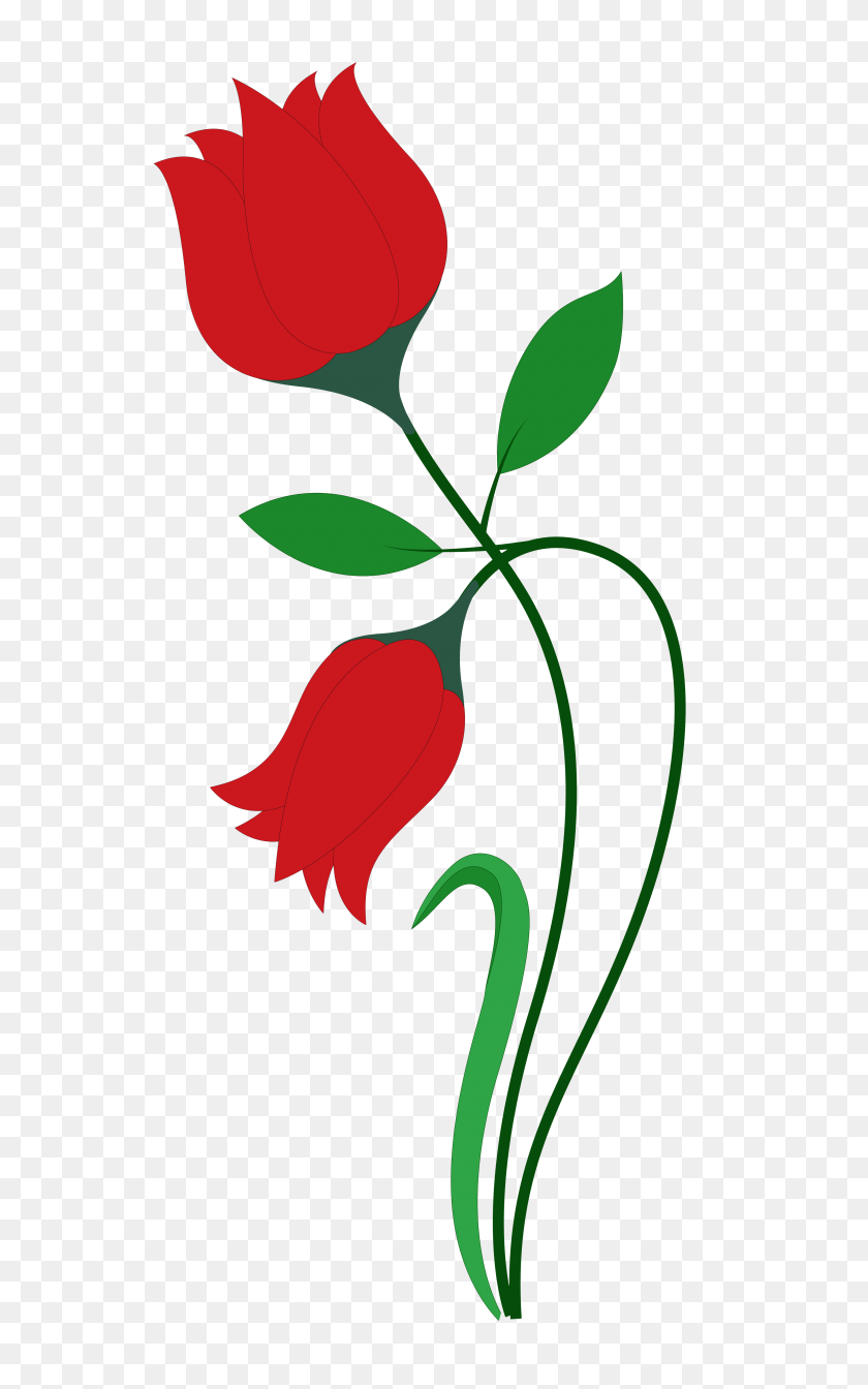3400x5598 Flower Png Image Daisy - Red Rose PNG