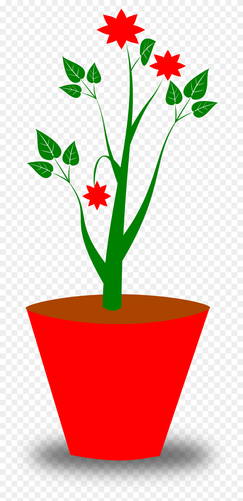 Растение в горшке со стеблем
