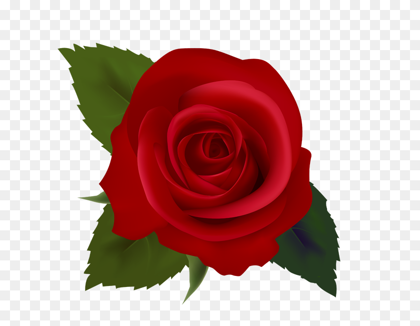 615x591 Цветочная Роза Картинки Клипарт - Цветы Бесплатно Картинки