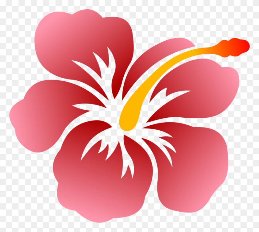 843x750 Цветок Shoeblackplant Гавайский Гибискус Рисунок Болотная Роза Мальва - Роза Клипарт Png