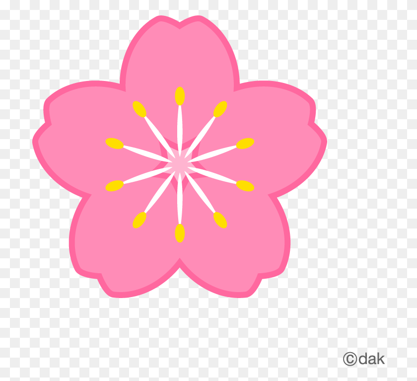 712x707 Flower Symbol Of The Cherry Of Clipart - Cherry Tree PNG