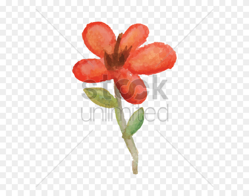 600x600 Flower Vector Image - Flower Watercolor PNG