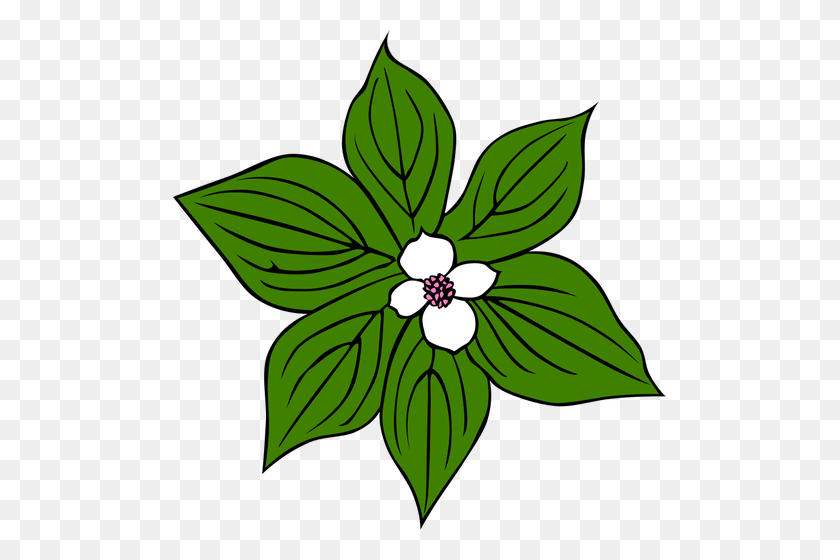 493x500 Цветок С Зелеными Листьями Векторной Графики - Цветок Кизила Клипарт
