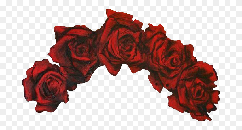 688x393 Цветочная Корона Цветы Корона Флорес Корона Красные Розы Росас - Цветочная Корона Png