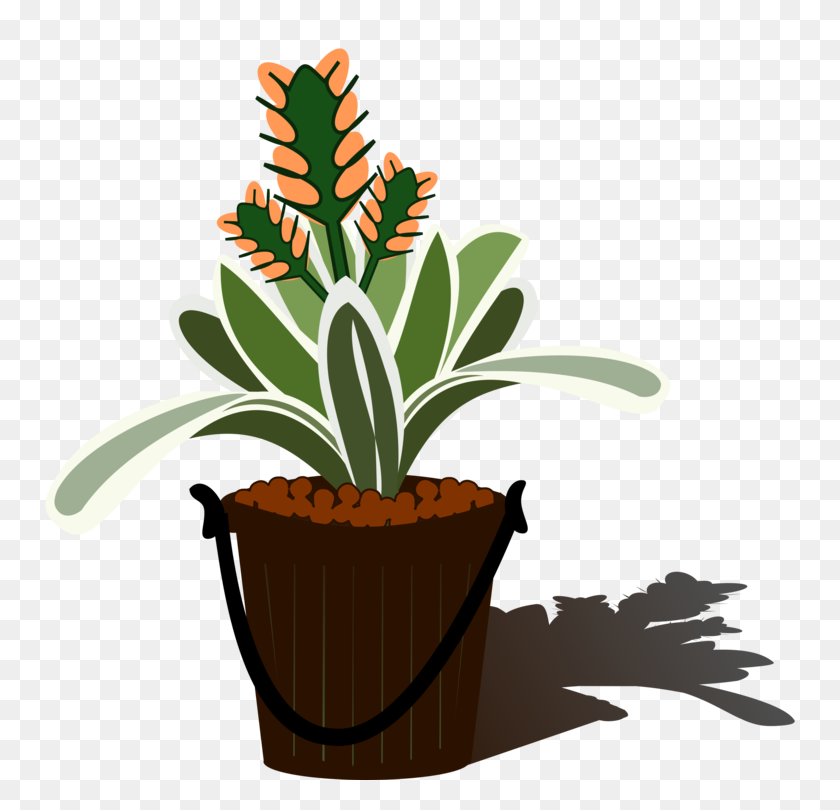 750x750 Flowering Plant Plants Aechmea Flowerpot - Potted Cactus Clipart