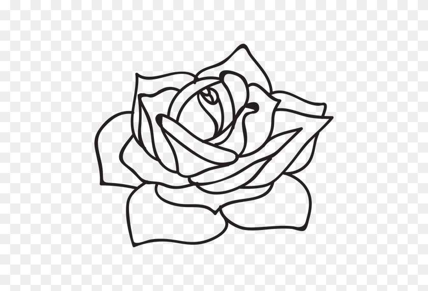 512x512 Flowering Rose Stroke Icon - Rose Drawing PNG