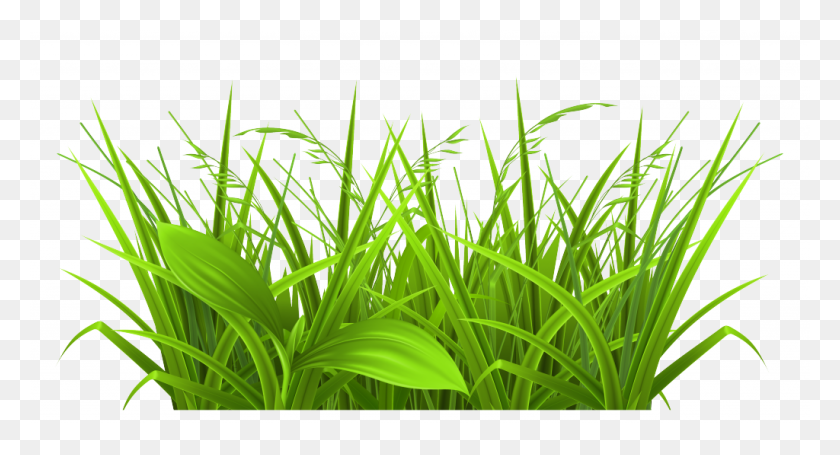 1024x519 Flowers And Grass Png Picture Clipart - Grass Silhouette PNG