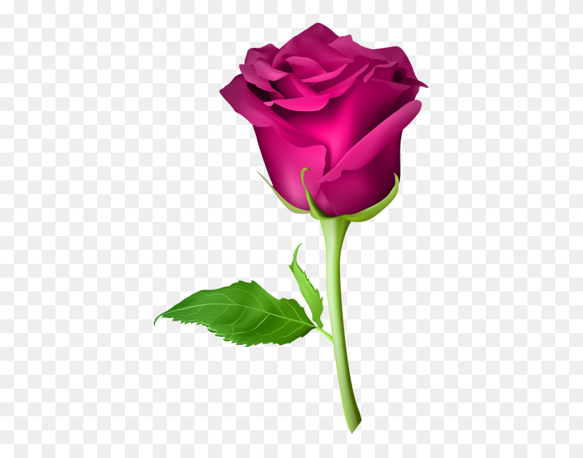 Цветы Art Images, Red - Rose клипарт