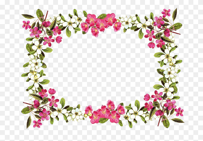 736x525 Flowers Borders Png Clipart - Floral PNG
