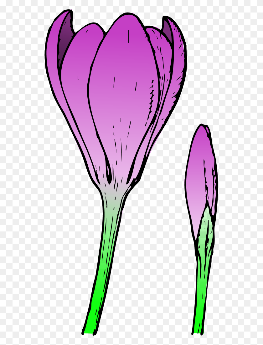 555x1043 Flowers For Single Spring Flower Clip Art - Spring Flower Border Clipart