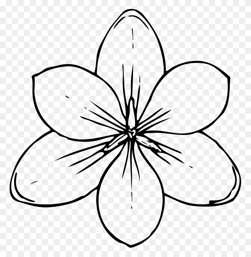 776x800 Flowers For Spring Flowers Pictures To Colour - Spring Clipart Black And White