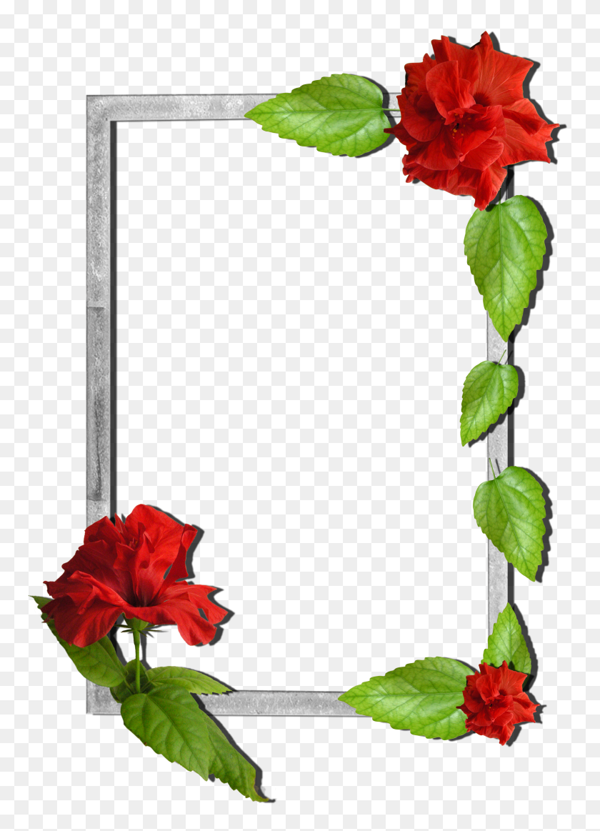 2480x3510 Flowers Frame - Flower Frame PNG