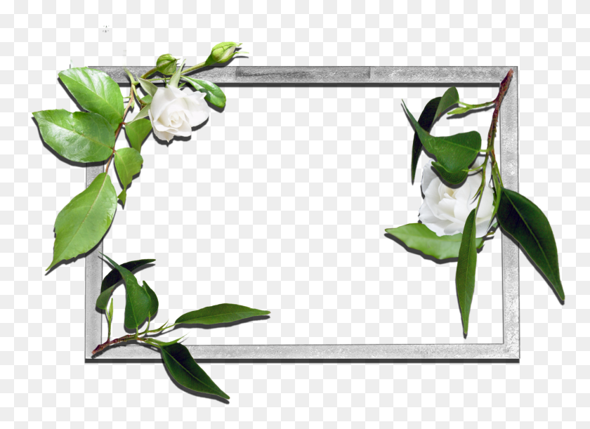 3510x2480 Flowers Frame - Flower Frame PNG