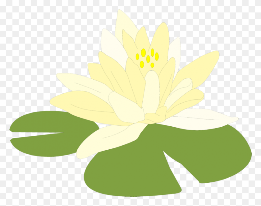 800x618 Flowers Of Lily Pads Clip Art Gardening Flower And Vegetables - Lily Flower Clipart