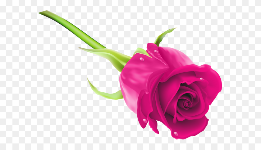600x421 Flowers Pink Rose Png, Rose - Rose Bouquet Clipart