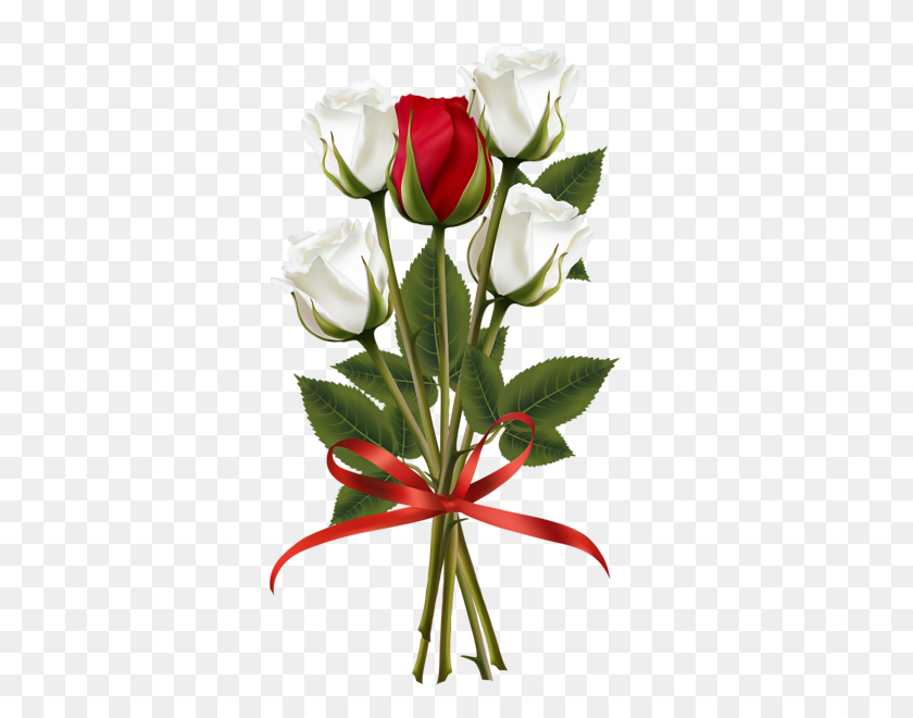368x600 Flowers, Red Roses - White Rose Clip Art