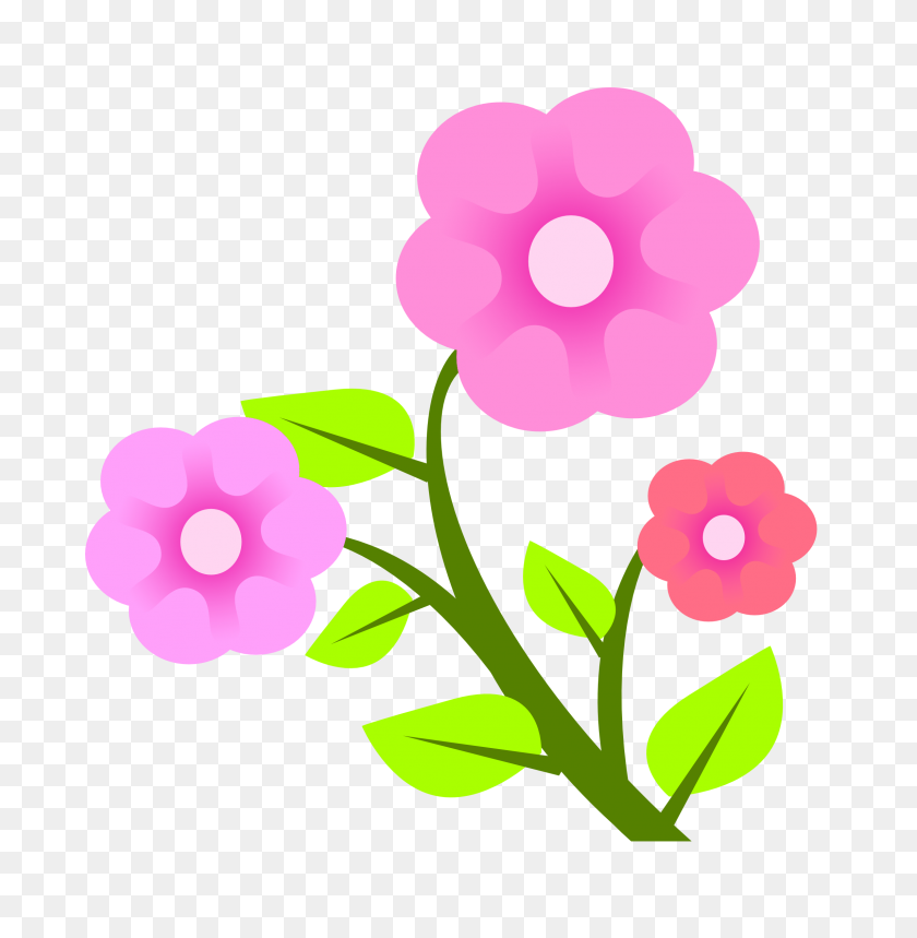 2291x2347 Flowers Transparent Background - Pink Background PNG