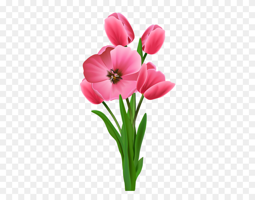 326x600 Flowersfloral Arrangementscenterpieces - Tulip PNG