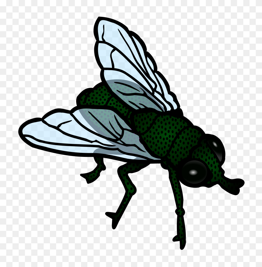2350x2400 Fly - Fly Clipart PNG