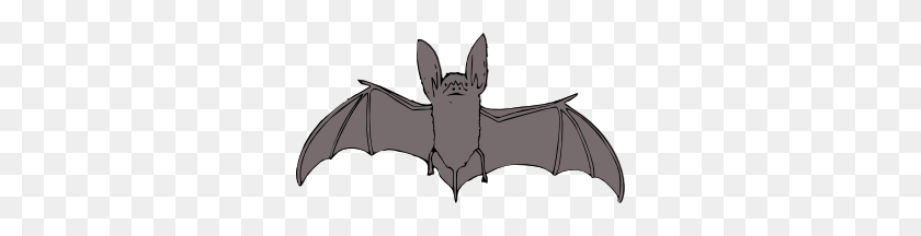 300x156 Fly - Flying Bat Clipart