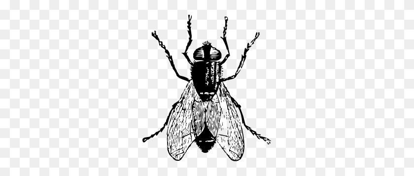 261x297 Fly Bug Insect Clip Art - Sea Creatures Clipart Black And White